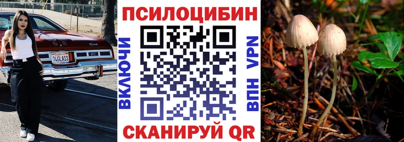 Псилоцибиновые грибы MAGIC MUSHROOMS  что такое наркотик  Тогучин 